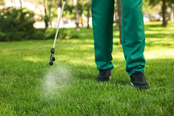 Pest Prevention Services in Gatesville, TX