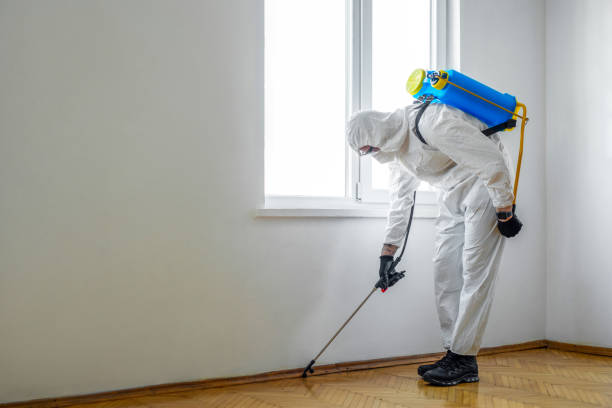Best Residential Pest Control  in Gatesville, TX