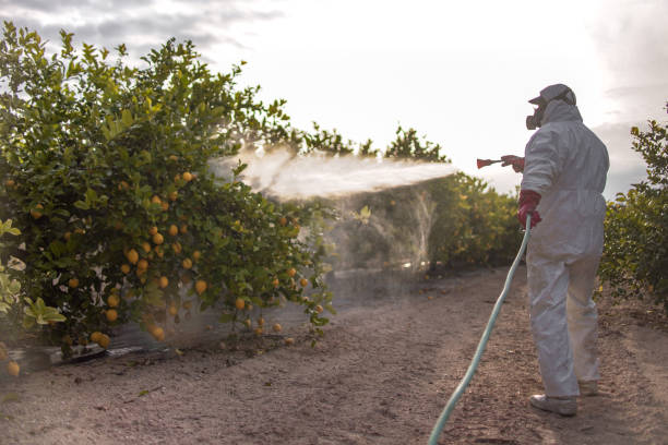 Best Affordable Pest Control Services  in Gatesville, TX