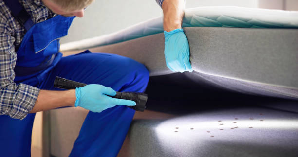 Best Local Pest Control Services  in Gatesville, TX