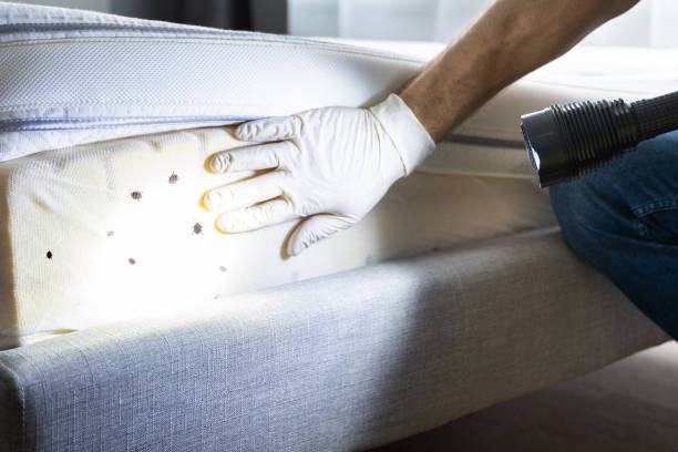 Best Pest Control Near Me in Gatesville, TX