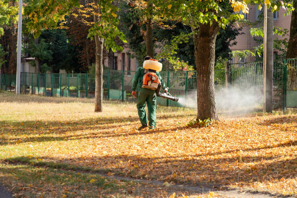 Best Pest Removal Services  in Gatesville, TX