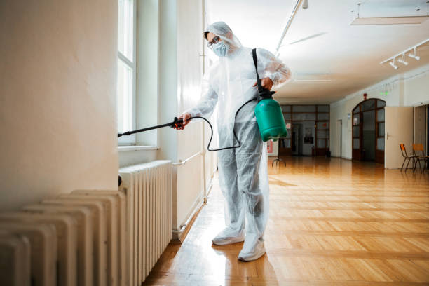 Best Flea Control Services  in Gatesville, TX