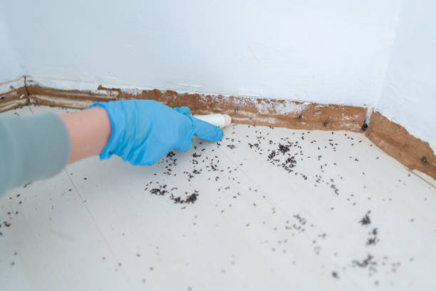 Gatesville, TX Pest Control Company